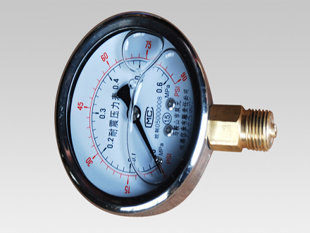 壓力表